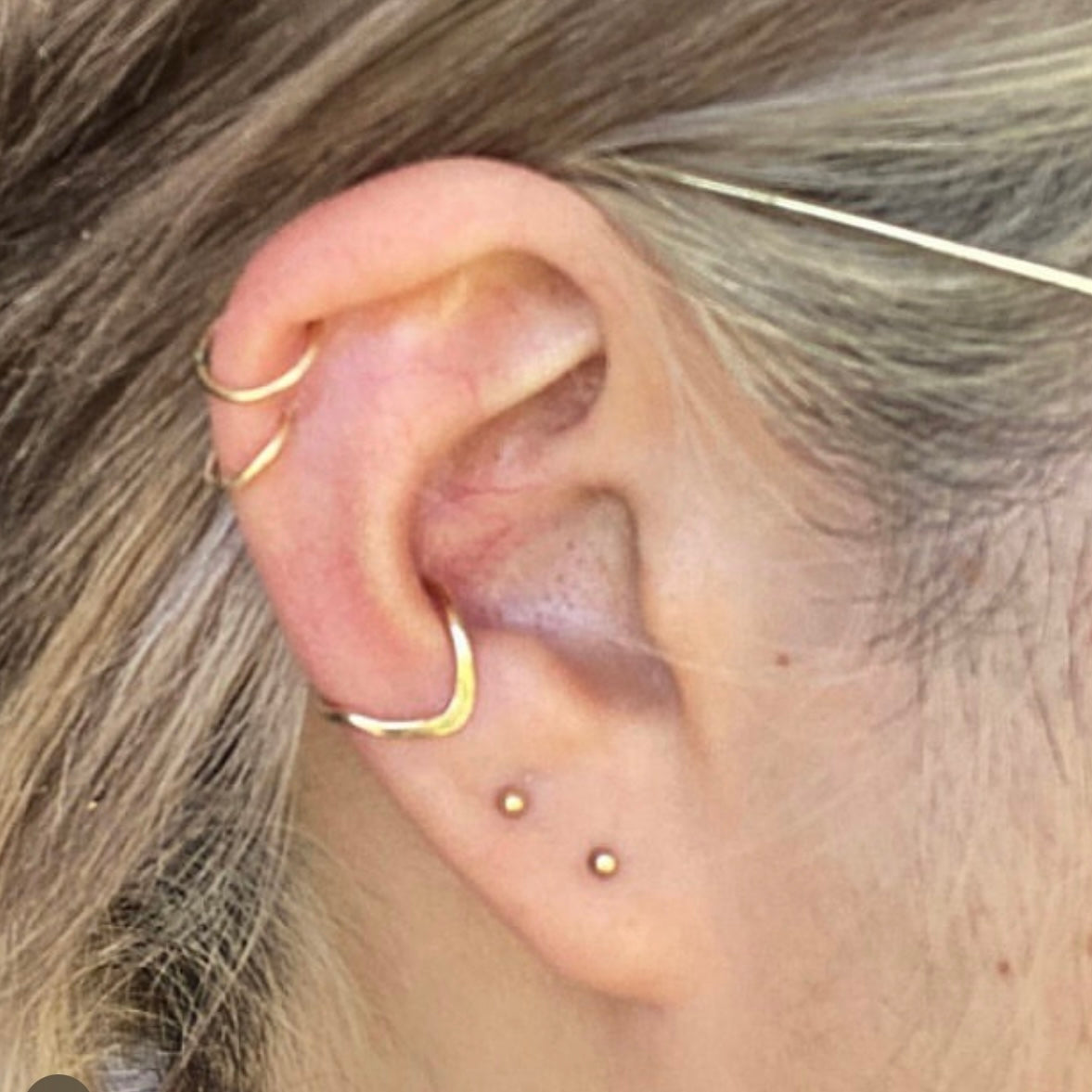 V Smooth Conch Earring Yellow Gold Fill