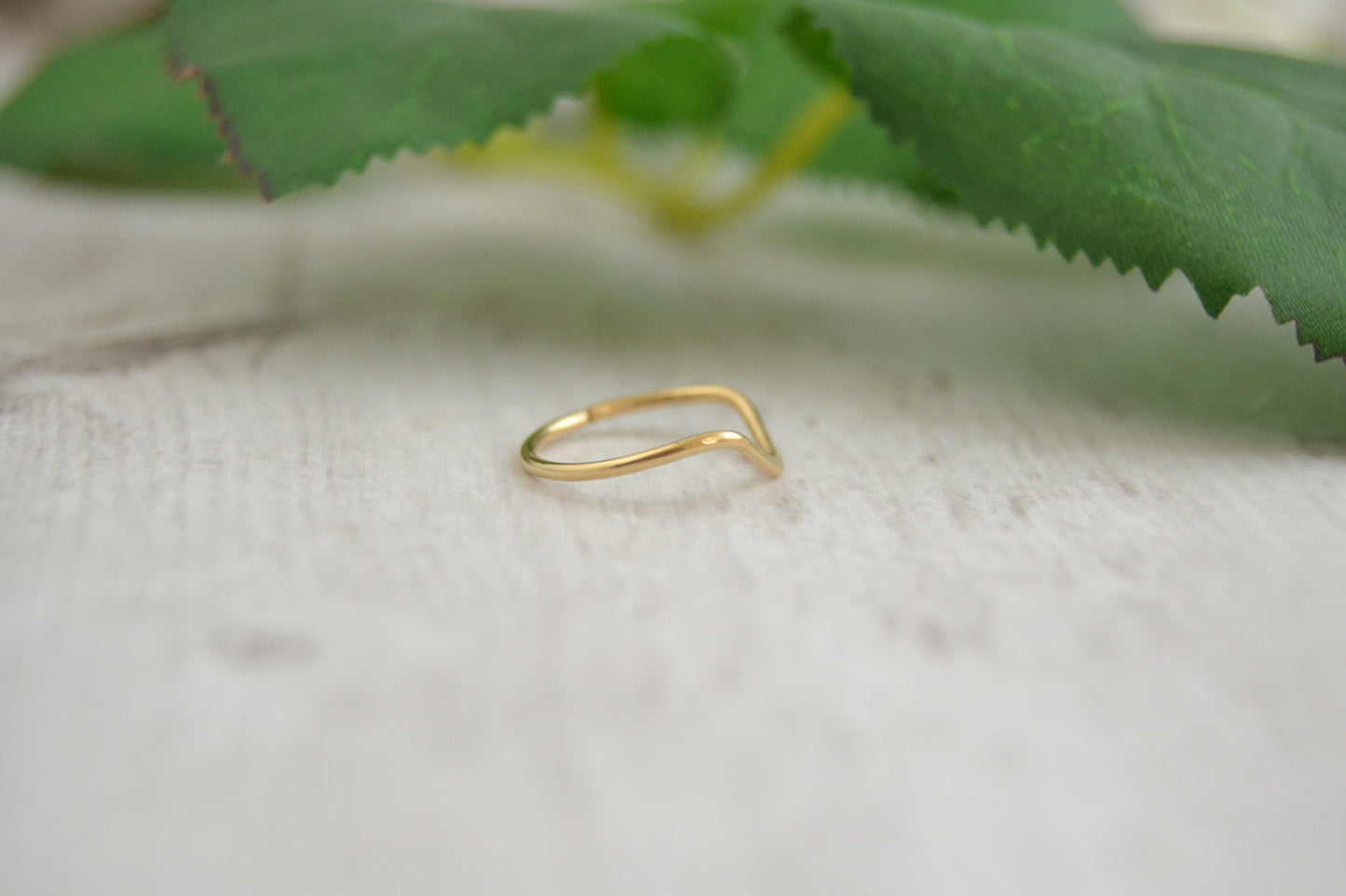 V Smooth Conch Earring Yellow Gold Fill