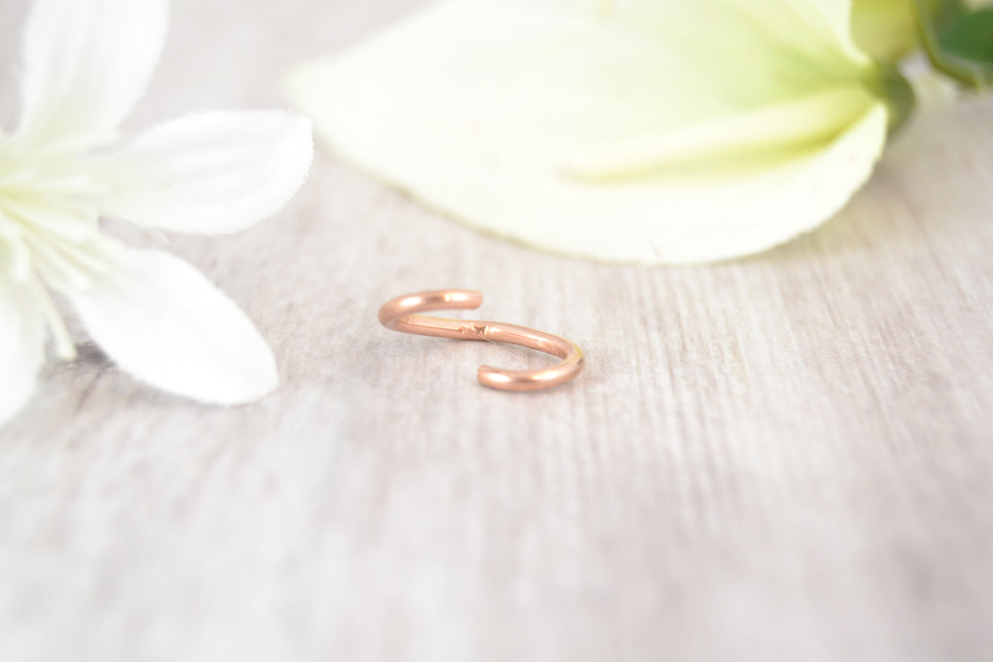 Heart 14k Rose Gold Seamless Ring