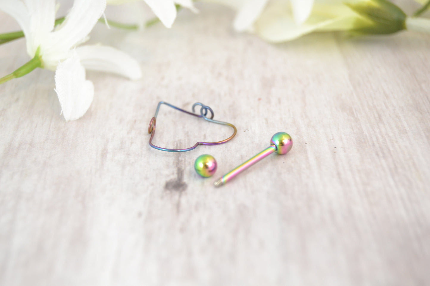 Heart 14g Rainbow 316L Stainless Steel Nipple Ring