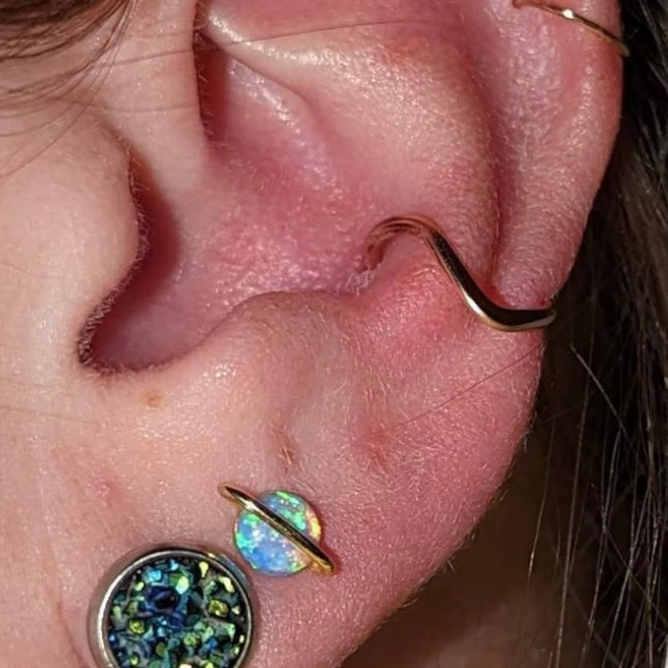 V Smooth Conch Earring Yellow Gold Fill